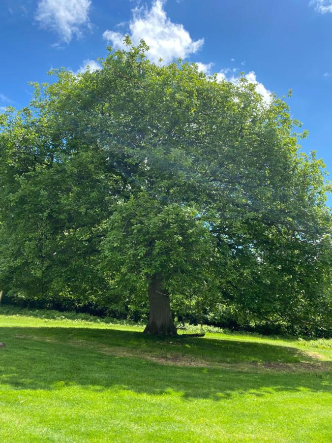 Black Mountains Glamping Hotel Abergavenny Luaran gambar